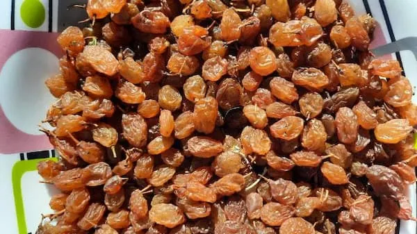 قیمت خرید کشمش گلدن طلایی + تست کیفیت