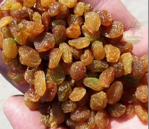 قیمت خرید کشمش گله آفتابی + خواص، معایب و مزایا